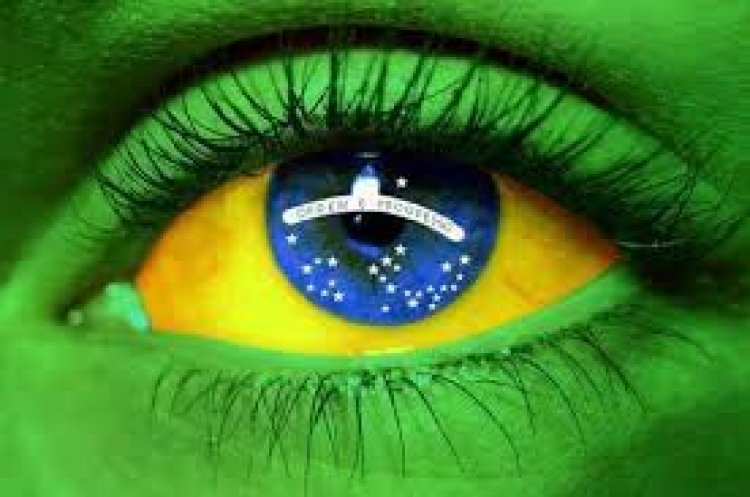 Sobre o Portal Patriota ES